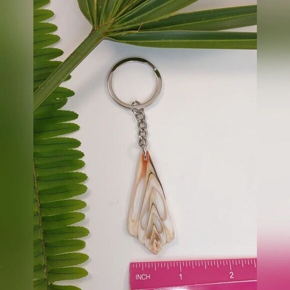 Seashell Keyring Slice Conch Seashell Clearwater Beach, Florida - Picture 14 of 15
